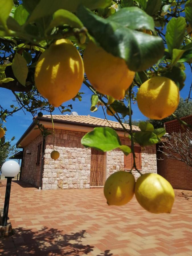 Villa Verde Чефалу Екстер'єр фото